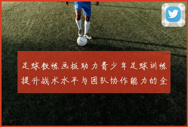 足球教练画板助力青少年足球训练提升战术水平与团队协作能力的全新工具