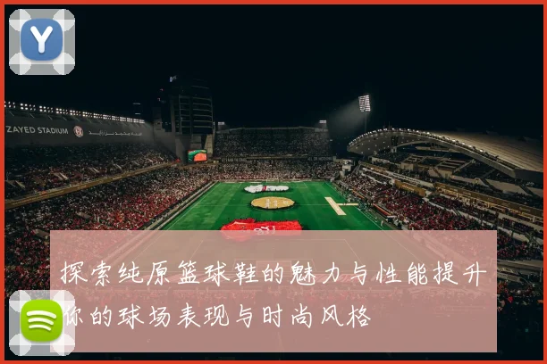 探索纯原篮球鞋的魅力与性能提升你的球场表现与时尚风格