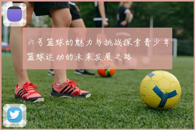 六号篮球的魅力与挑战探索青少年篮球运动的未来发展之路