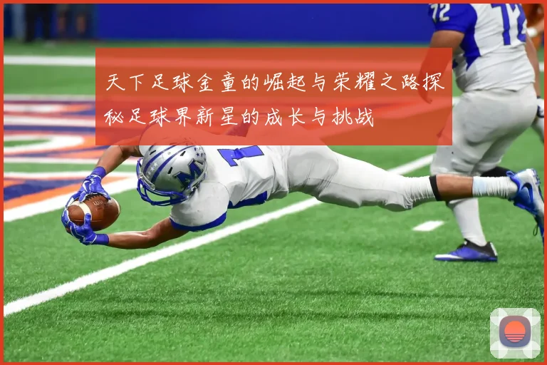 天下足球金童的崛起与荣耀之路探秘足球界新星的成长与挑战