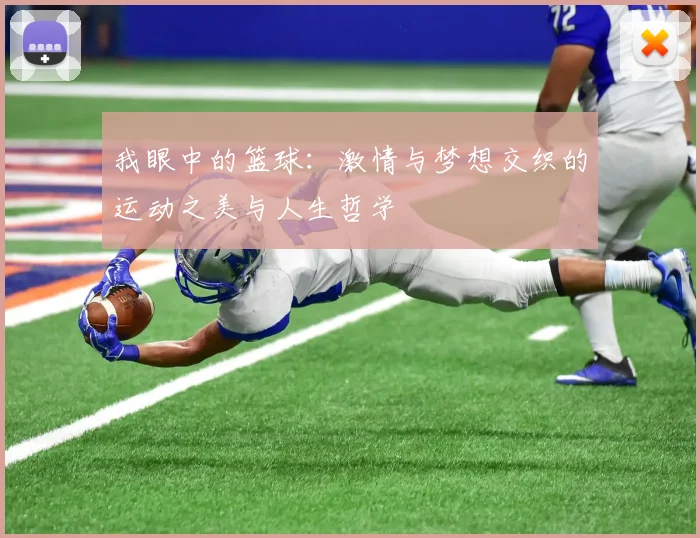 我眼中的篮球：激情与梦想交织的运动之美与人生哲学