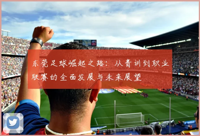 东莞足球崛起之路：从青训到职业联赛的全面发展与未来展望