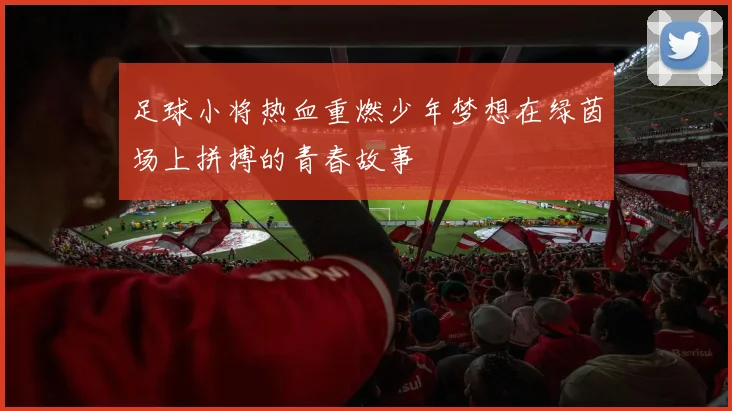 足球小将热血重燃少年梦想在绿茵场上拼搏的青春故事